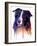 Border Collie 1-Marlene Watson-Framed Giclee Print