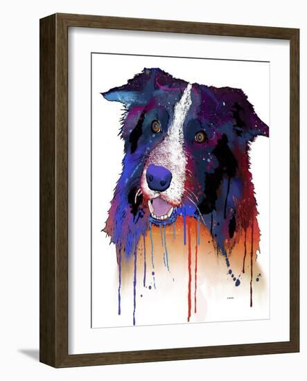 Border Collie 1-Marlene Watson-Framed Giclee Print