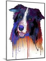 Border Collie 1-Marlene Watson-Mounted Giclee Print