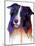 Border Collie 1-Marlene Watson-Mounted Giclee Print