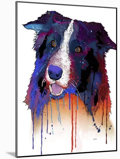 Border Collie 1-Marlene Watson-Mounted Giclee Print