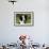 Border Collie 28-Bob Langrish-Framed Photographic Print displayed on a wall