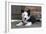 Border Collie 35-Bob Langrish-Framed Photographic Print