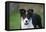 Border Collie 43-Bob Langrish-Framed Stretched Canvas