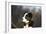 Border Collie 73-Bob Langrish-Framed Photographic Print