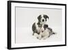 Border Collie Adult with Her Puppy-Mark Taylor-Framed Photographic Print