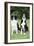 Border Collie and Smooth Border Collie-null-Framed Photographic Print