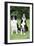 Border Collie and Smooth Border Collie-null-Framed Photographic Print