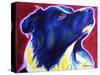 Border Collie - Bright Future-Dawgart-Stretched Canvas