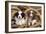 Border Collie Dog Puppies in Rope-null-Framed Photographic Print