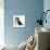 Border Collie Dog Puppy-null-Mounted Photographic Print displayed on a wall