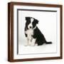 Brown Frame