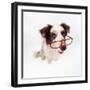 Border Collie Dog Wearing Glasses-null-Framed Photographic Print