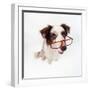 Border Collie Dog Wearing Glasses-null-Framed Photographic Print