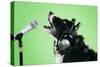 Border Collie Dog with Microphone and Head Phones-null-Stretched Canvas