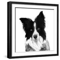 Border Collie I-Grace Popp-Framed Art Print