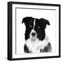 Border Collie II-Grace Popp-Framed Art Print