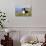 Border Collie in Ice Plant on Bluff Overlooking Pacific Ocean, Southern California, USA-Lynn M^ Stone-Photographic Print displayed on a wall