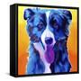 Border Collie - Jinx-Dawgart-Framed Stretched Canvas