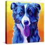 Border Collie - Jinx-Dawgart-Stretched Canvas