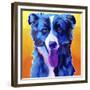 Border Collie - Jinx-Dawgart-Framed Giclee Print