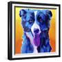 Border Collie - Jinx-Dawgart-Framed Giclee Print