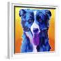 Border Collie - Jinx-Dawgart-Framed Giclee Print