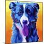 Border Collie - Jinx-Dawgart-Mounted Giclee Print