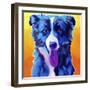 Border Collie - Jinx-Dawgart-Framed Giclee Print