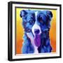 Border Collie - Jinx-Dawgart-Framed Giclee Print