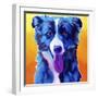 Border Collie - Jinx-Dawgart-Framed Giclee Print