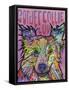 Border Collie Love 2-Dean Russo-Framed Stretched Canvas