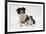 Border Collie Mother and Puppy-Mark Taylor-Framed Photographic Print