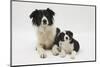 Border Collie Mother and Puppy-Mark Taylor-Mounted Photographic Print