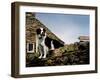 Border Collie on Moss Covered Stone Wall-Jody Miller-Framed Photographic Print