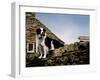 Border Collie on Moss Covered Stone Wall-Jody Miller-Framed Photographic Print