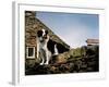 Border Collie on Moss Covered Stone Wall-Jody Miller-Framed Photographic Print