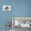 Border Collie Puppies Playing-Mark Taylor-Stretched Canvas displayed on a wall