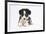 Border Collie Puppy Lying-Mark Taylor-Framed Photographic Print