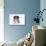 Border Collie Puppy Lying-Mark Taylor-Photographic Print displayed on a wall