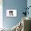 Border Collie Puppy Lying-Mark Taylor-Mounted Photographic Print displayed on a wall