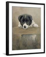 Border Collie Puppy on a Fence-John Silver-Framed Giclee Print