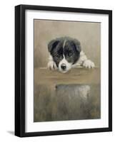 Border Collie Puppy on a Fence-John Silver-Framed Giclee Print