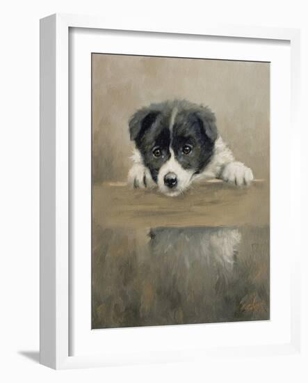 Border Collie Puppy on a Fence-John Silver-Framed Giclee Print