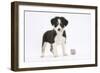 Border Collie Puppy Standing by Toy-Mark Taylor-Framed Photographic Print