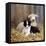 Border Collie Puppy with Lamb-null-Framed Stretched Canvas
