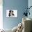 Border Collie Puppy-Mark Taylor-Photographic Print displayed on a wall