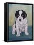 Border Collie Puppy-Angeles M Pomata-Framed Stretched Canvas