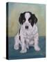 Border Collie Puppy-Angeles M Pomata-Stretched Canvas