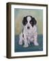 Border Collie Puppy-Angeles M Pomata-Framed Giclee Print